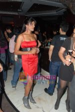 at Anti piracy bash hosted by Satish Reddy in Enigma on 16th Dec 2009 (147).JPG